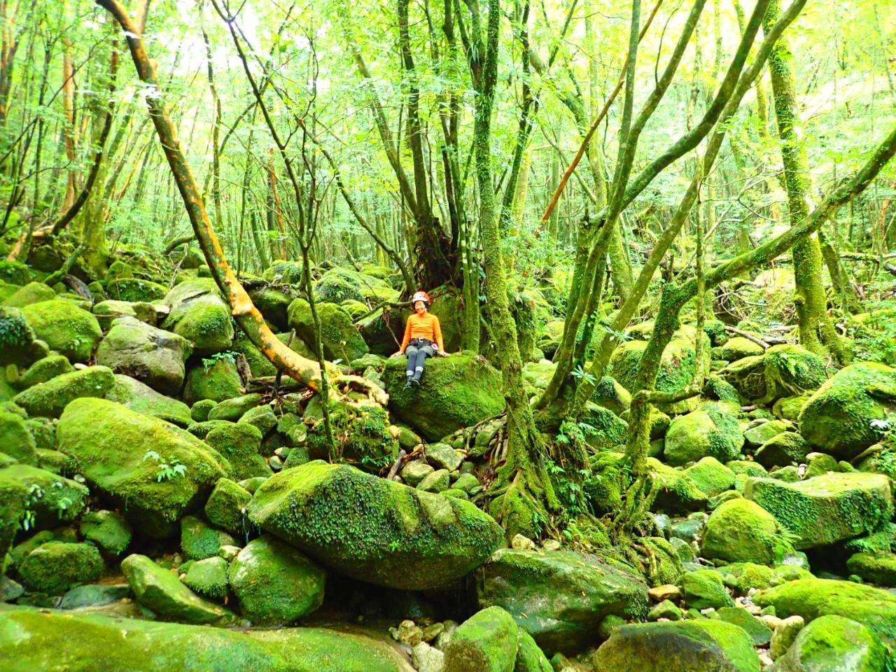 Yakushima Cottage Morino Fairy All Cotage With Open-Air Bath Exterior foto